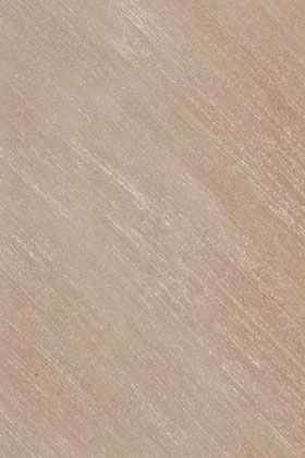 奧古斯工匠?沙路10